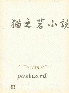 猫之茗小说