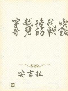 穿越后我吃到了哥儿的软饭炉山灰