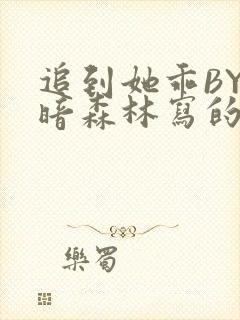 追到她乖BY黑暗森林写的小说