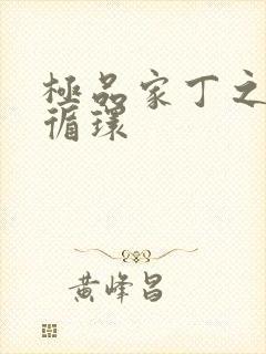 极品家丁之因果循环