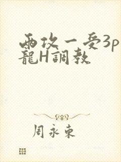 两攻一受3p双龙H调教