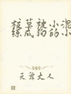 校草被小混混训练成狗的小说