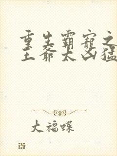 重生霸宠之摄政王爷太凶猛