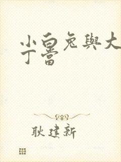 小白兔与大灰狼丁当