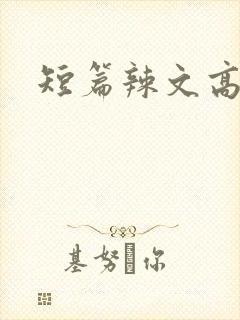 短篇辣文高h