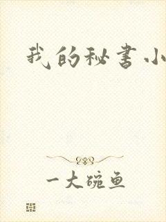 我的秘书小姐