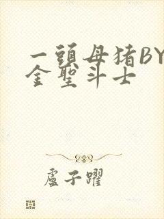 一头母猪BY黄金圣斗士