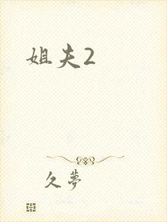 姐夫2