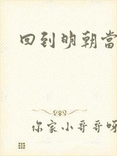 回到明朝当太子