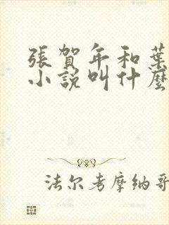 张贺年和叶繁姿小说叫什么名字