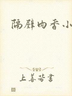 隔壁肉香小说