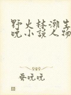 野火林潮生林晚晚小说人物野火