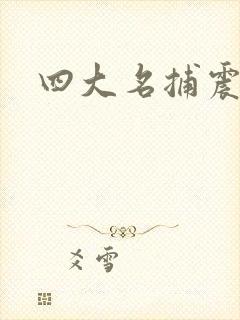 四大名捕震关东