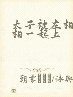 太子被左相和右相一起上