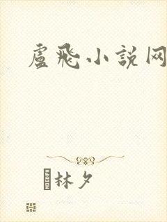 卢飞小说网