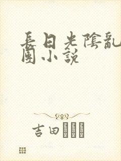 长日光阴乱作一团小说