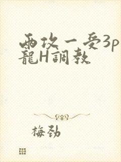 两攻一受3p双龙H调教