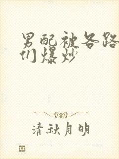 男配被各路大佬们爆炒