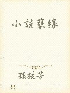 小说孽缘