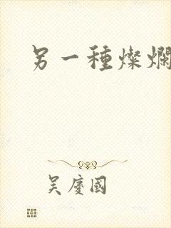 另一种灿烂生活