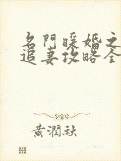 名门暖婚之权爷追妻攻略全文免费阅读