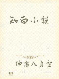 知白小说
