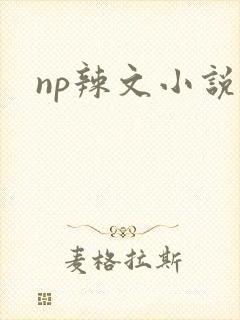 np辣文小说