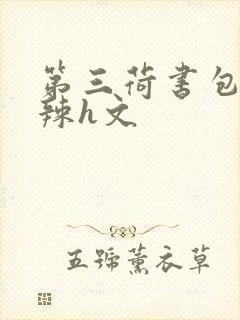 第三荷书包网高辣h文