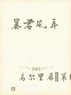 暴君风弄