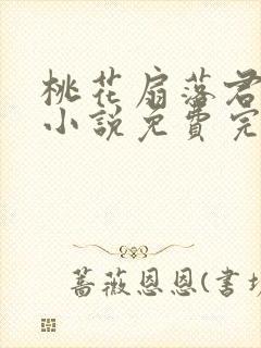 桃花扇落君不还小说免费完整版