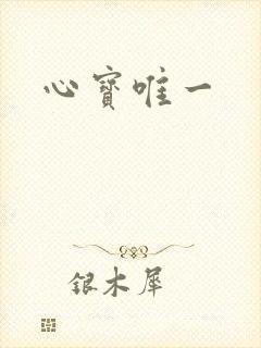 心宝唯一