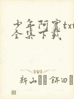 少年阿宾txt全集下载