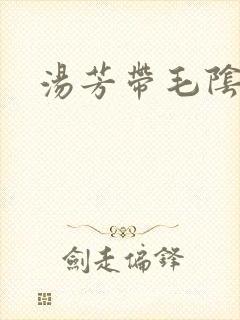 汤芳带毛阴部