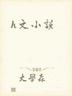 h文小说