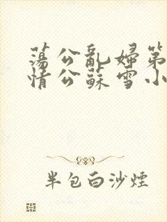 荡公乱妇第1章情公苏雪小说