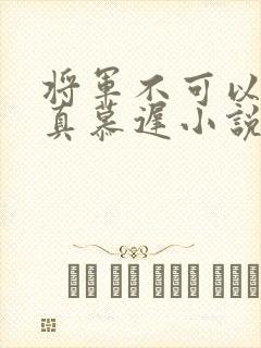 将军不可以魏云真慕迟小说笔趣阁