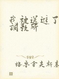 我被送进了私奴调教所