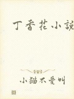 丁香花小说