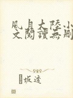 风月大陆小说全文阅读无删减