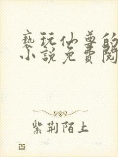 亵玩仙尊的道侣小说免费阅读