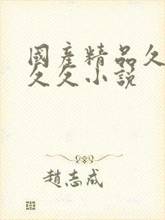 国产精品久久久久久小说