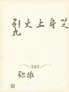 引火上身芝麻糖丸