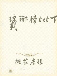 琅琊榜txt下载