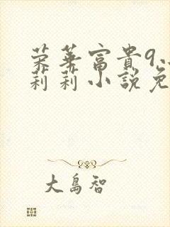 荣华富贵9小王莉莉小说免费阅读