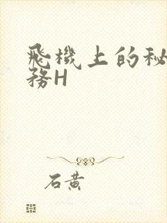 飞机上的秘密服务H