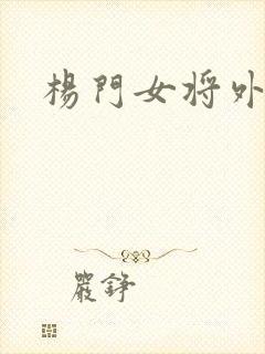 杨门女将外传