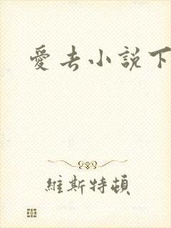 爱去小说下载网