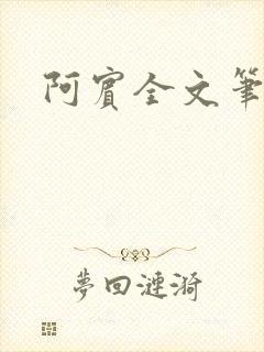 阿宾全文笔趣阁