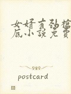 女婿有劲枪枪到底小说免费看