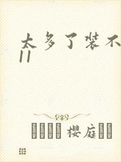 太多了装不下H11